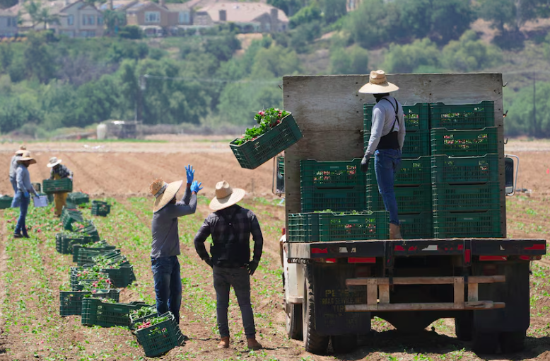 ICE Raids Back On for Farms, Hotels