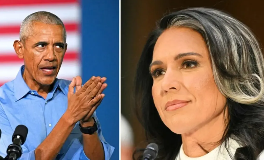 Gabbard: Whistleblowers Ready to Expose Obama Plot!